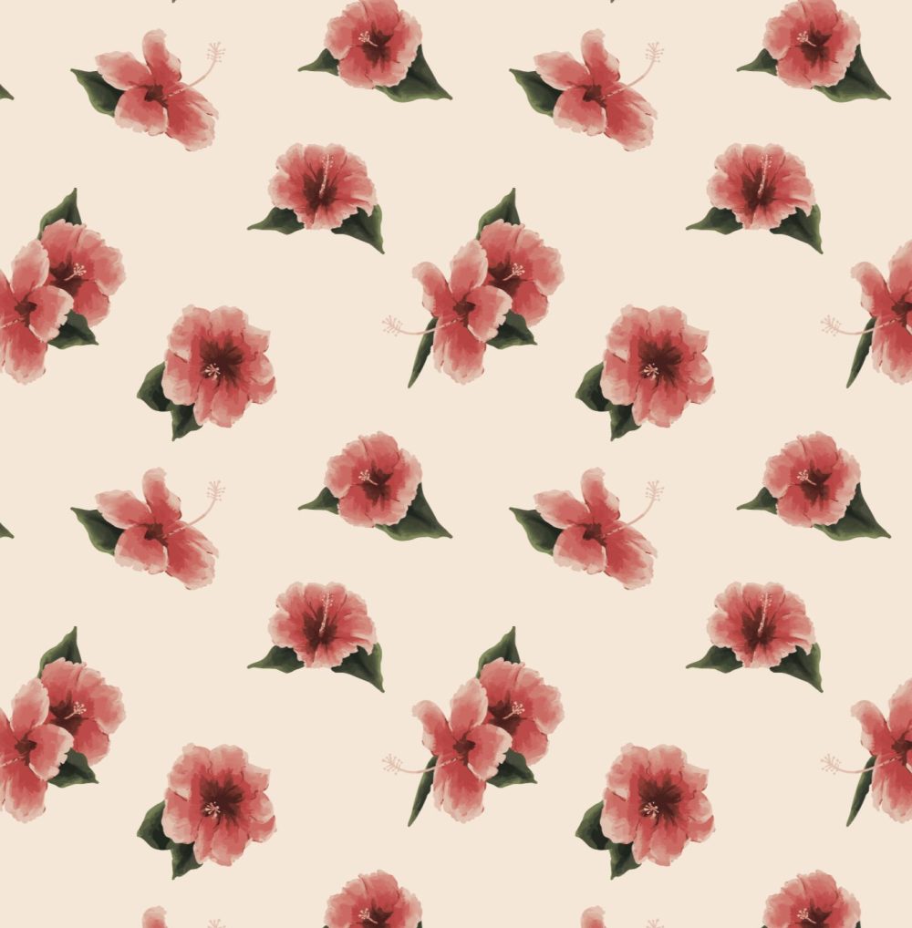 California Pink Hibiscus wallpaper